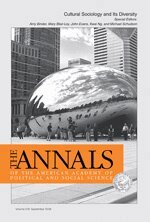 Amy J. Binder, Mary Blair-Loy, Amy J. Binder, Mary Blair-Loy, John H. Evans, Kwai Ng, Michael Schudson - Cultural Sociology and Its Diversity, Häftad