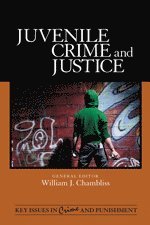 bokomslag Juvenile Crime and Justice