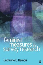 bokomslag Feminist Measures in Survey Research