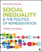 bokomslag Social Inequality & The Politics of Representation