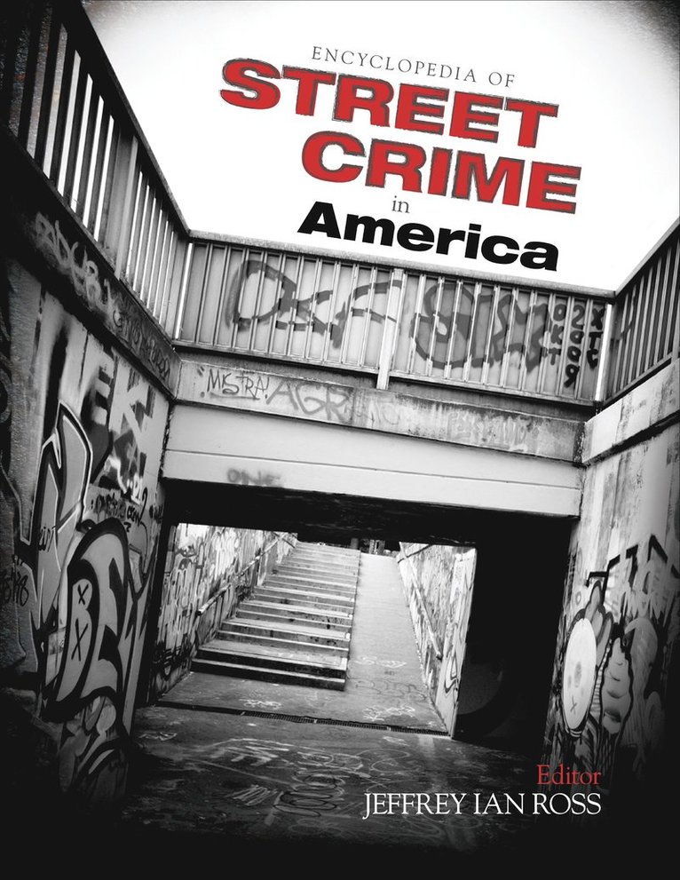 Encyclopedia of Street Crime in America 1