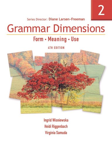 bokomslag Grammar Dimensions 2
