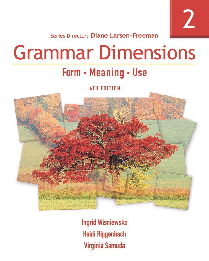 Grammar Dimensions 2 1