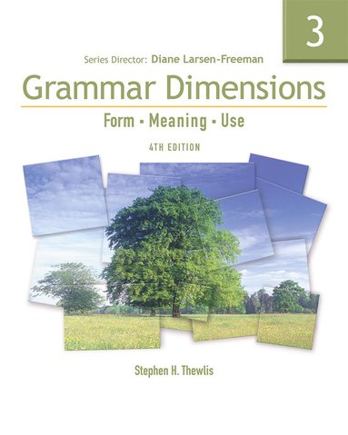 bokomslag Grammar Dimensions 3