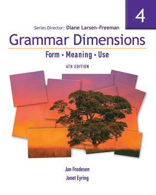 bokomslag Grammar Dimensions 4