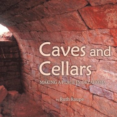 bokomslag Caves and Cellars