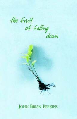 bokomslag Fruit of Falling Down