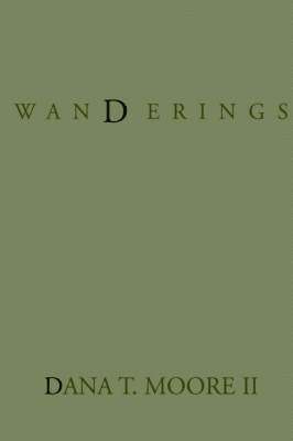 bokomslag Wanderings