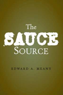 bokomslag Sauce Source