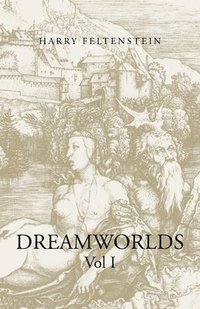 bokomslag Dreamworlds
