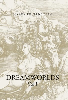 bokomslag Dreamworlds