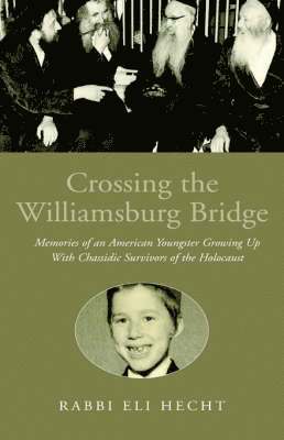 Crossing the Williamsburg Bridge 1