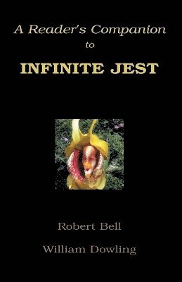 bokomslag A Reader's Companion to Infinite Jest