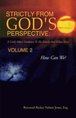 bokomslag Strictly from God's Perspective