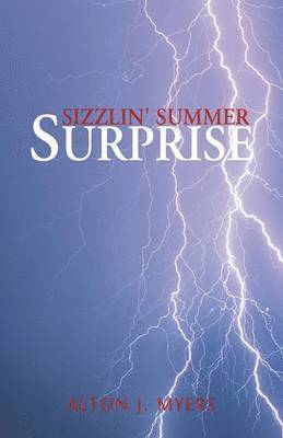 bokomslag Sizzlin' Summer Surprise