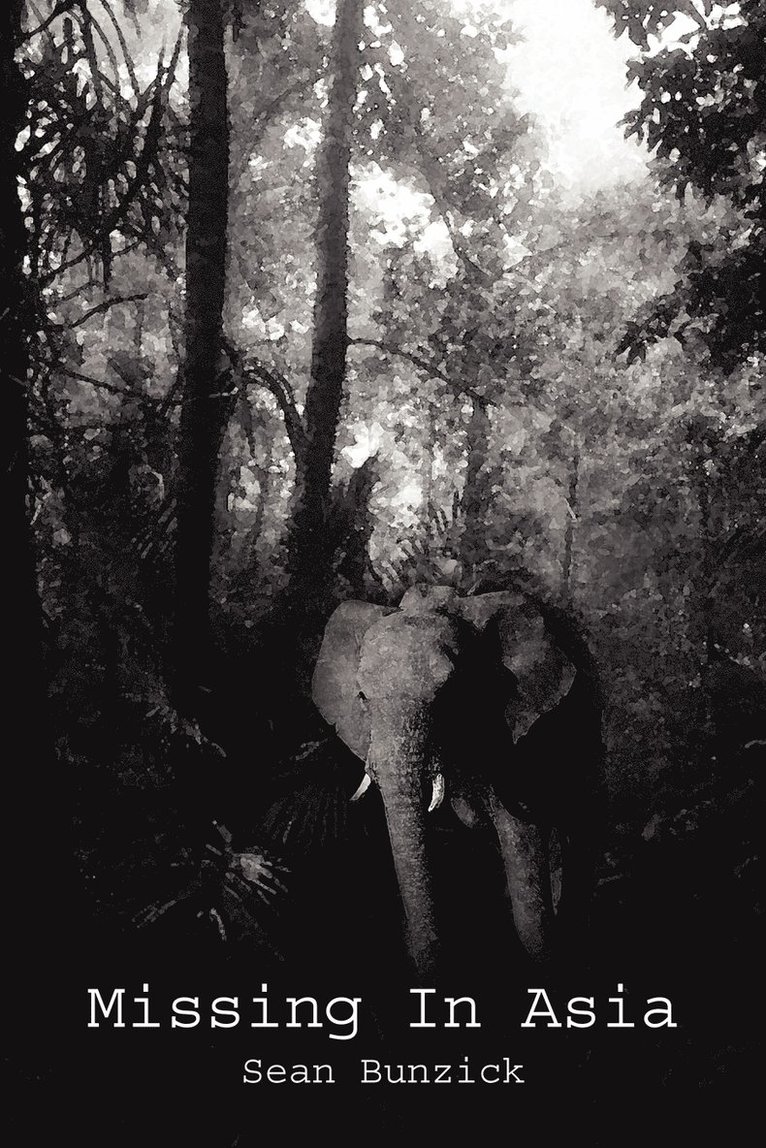 Sean Bunzick - Missing in Asia, Häftad