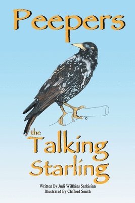 Peepers the Talking Starling 1