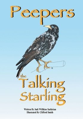 Peepers the Talking Starling 1