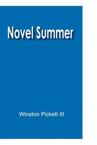 bokomslag Novel Summer