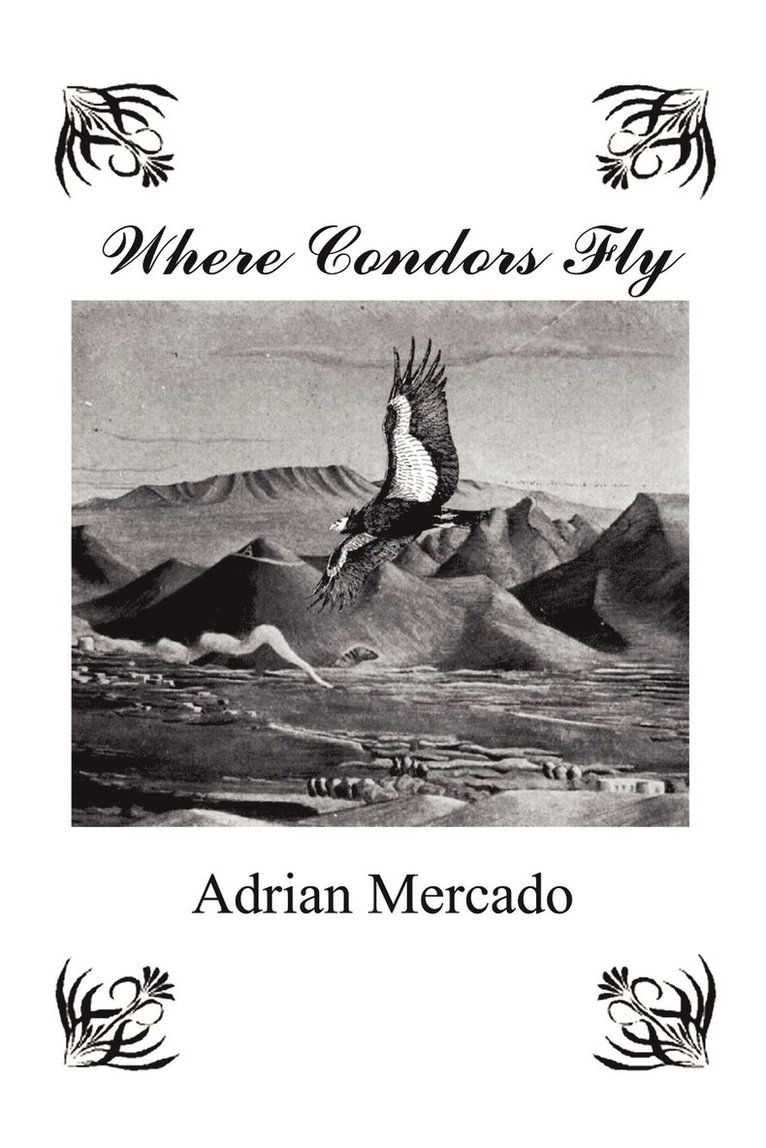 Where Condors Fly 1