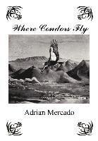 Where Condors Fly 1