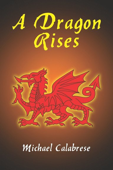 bokomslag Dragon Rises