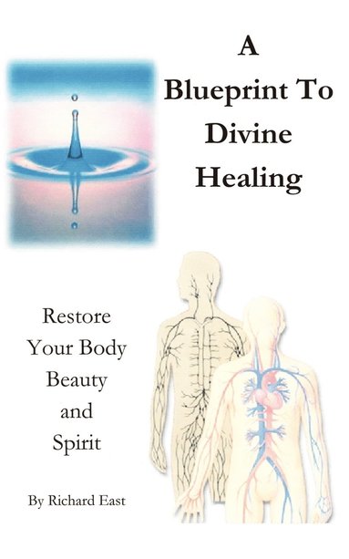 bokomslag Blueprint to Divine Healing