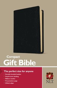 bokomslag Compact Bible-Nlt