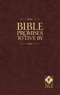 bokomslag Bible Promises To Live By