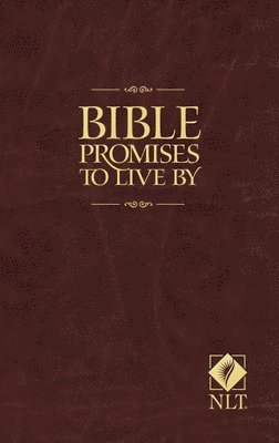 Bible Promises To Live By 1