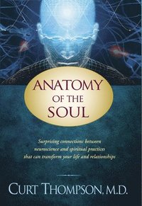 bokomslag Anatomy of the Soul