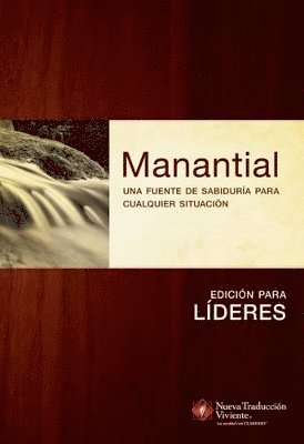Ron Beers - Manantial (Edicion para lideres), Häftad