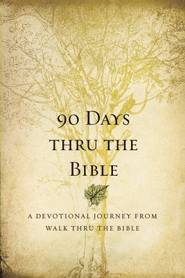 bokomslag 90 Days Thru the Bible