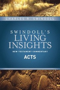 bokomslag Insights on Acts