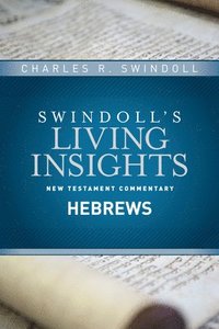 bokomslag Insights on Hebrews