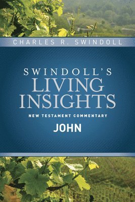 Insights on John 1
