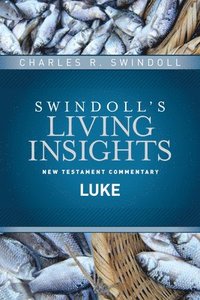 bokomslag Insights on Luke