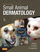 bokomslag Muller and Kirk's Small Animal Dermatology