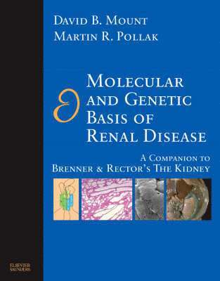 bokomslag Molecular and Genetic Basis of Renal Disease