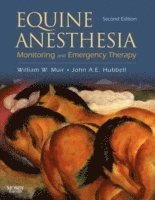 Equine Anesthesia 1