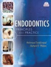 bokomslag Endodontics: Principles and Practice [With DVD]