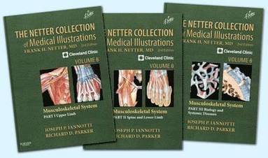 bokomslag The Netter Collection of Medical Illustrations: Musculoskeletal System Package