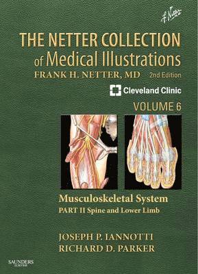 bokomslag The Netter Collection of Medical Illustrations: Musculoskeletal System, Volume 6, Part II - Spine and Lower Limb