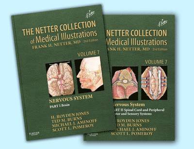 The Netter Collection of Medical Illustrations: Nervous System Package 1