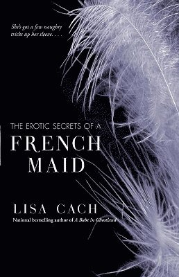 The Erotic Secrets of a French Maid 1