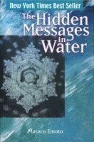bokomslag The Hidden Messages in Water