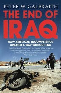 bokomslag The End of Iraq