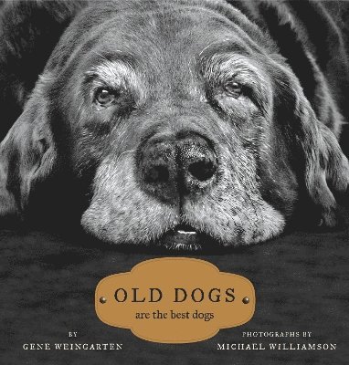 bokomslag Old Dogs