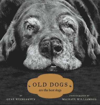 Old Dogs 1