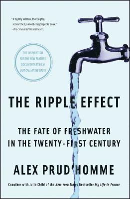 bokomslag Ripple Effect